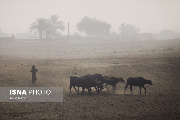 هورالعظیم در آتش