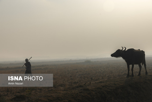 هورالعظیم در آتش