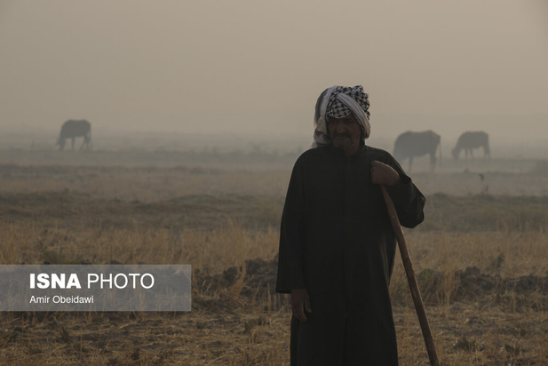 هورالعظیم در آتش