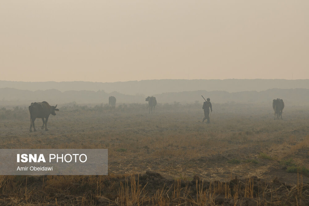 هورالعظیم در آتش