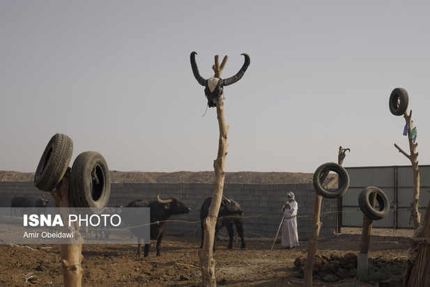 هورالعظیم در آتش