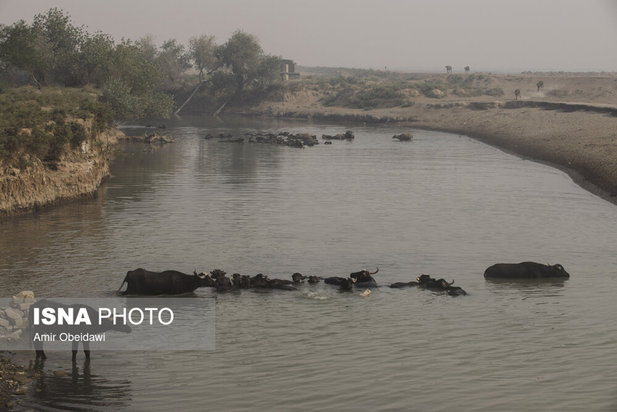هورالعظیم در آتش