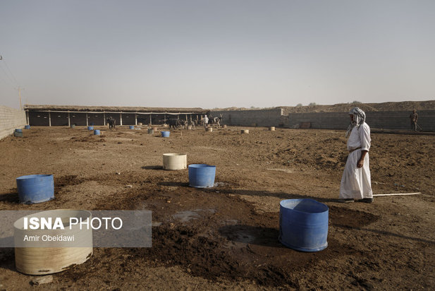 هورالعظیم در آتش