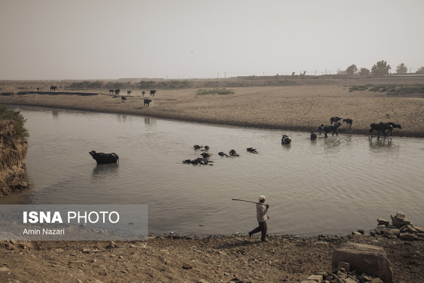 هورالعظیم در آتش