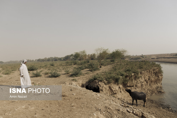 هورالعظیم در آتش