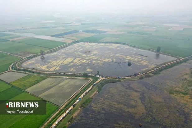 نخستین قرق شکنی ماهیگیری زنان در بابل