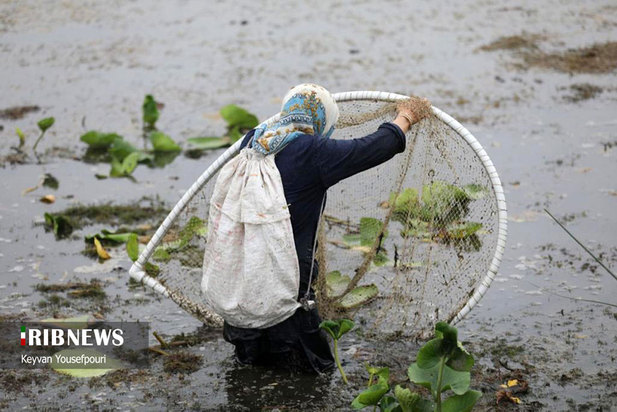 نخستین قرق شکنی ماهیگیری زنان در بابل