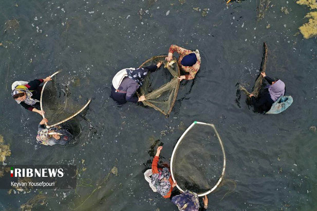 نخستین قرق شکنی ماهیگیری زنان در بابل