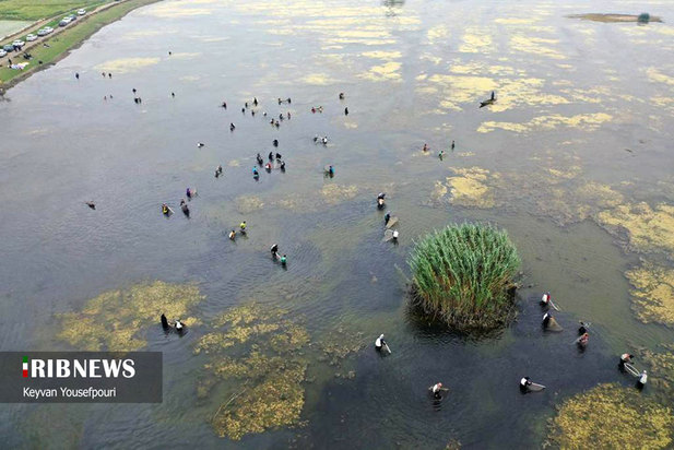 نخستین قرق شکنی ماهیگیری زنان در بابل