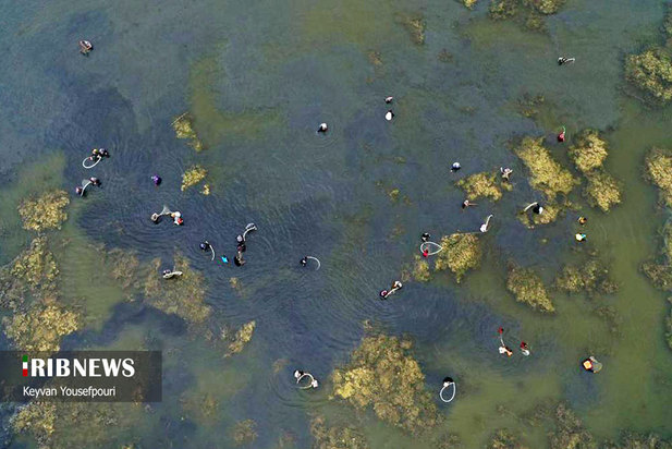 نخستین قرق شکنی ماهیگیری زنان در بابل