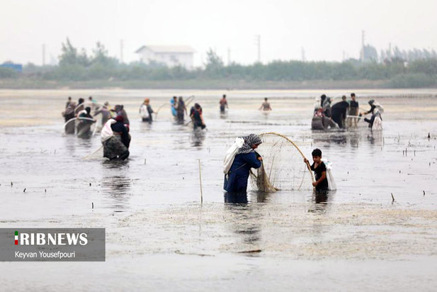 نخستین قرق شکنی ماهیگیری زنان در بابل