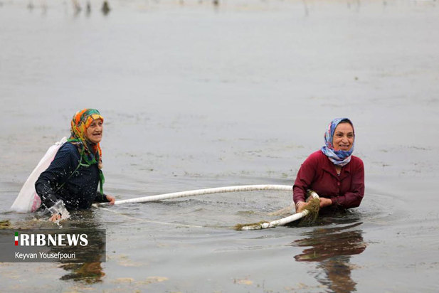 نخستین قرق شکنی ماهیگیری زنان در بابل