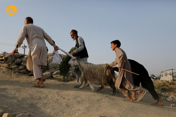 افغانستان یکسال پس از حاکمیت مجدد طالبان