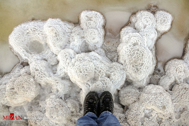 نفس‌های آخر دریاچه ارومیه