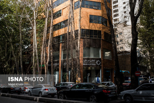 چنارهای طولانی‌ترین خیابان خاورمیانه