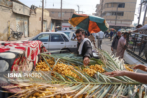 برداشت خارک و رطب در شادگان