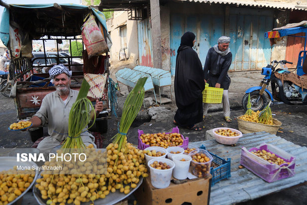 برداشت خارک و رطب در شادگان