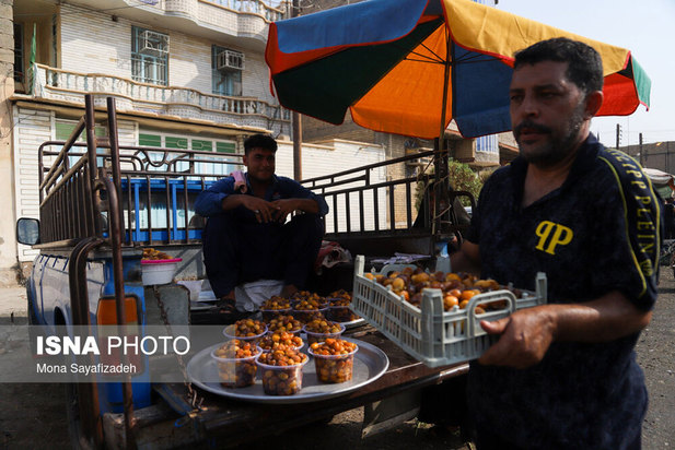برداشت خارک و رطب در شادگان