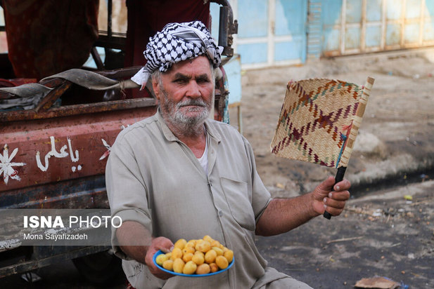 برداشت خارک و رطب در شادگان