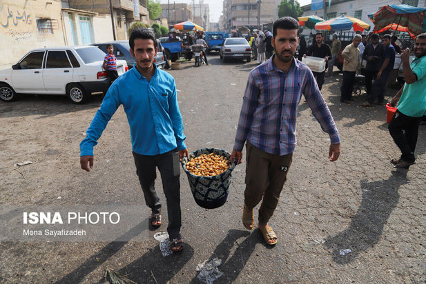 برداشت خارک و رطب در شادگان