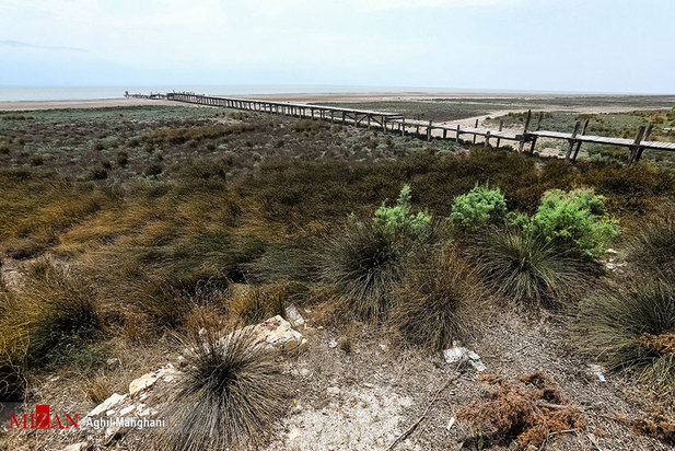 لایروبی خلیج گرگان
