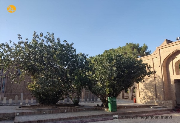 آرامگاه شیخ جام