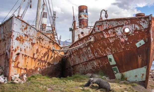 تصاویر دیدنی