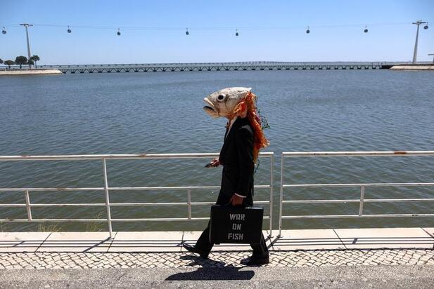 اعتراضات 2022