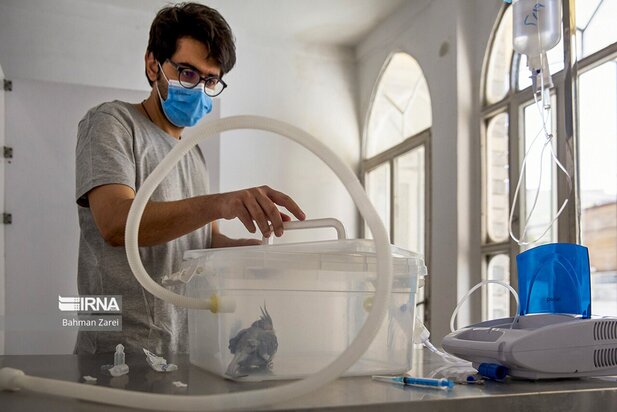 بیمارستان حیوانات