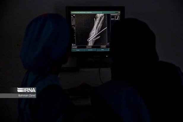 بیمارستان حیوانات