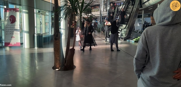 مجتمع مهر و ماه