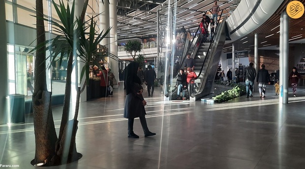 مجتمع مهر و ماه