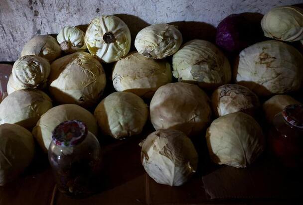 وضعیت اسفبار جنگ زدگان اوکراینی