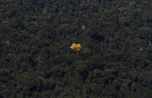 عکس‌برداری هوایی از سطح زمین