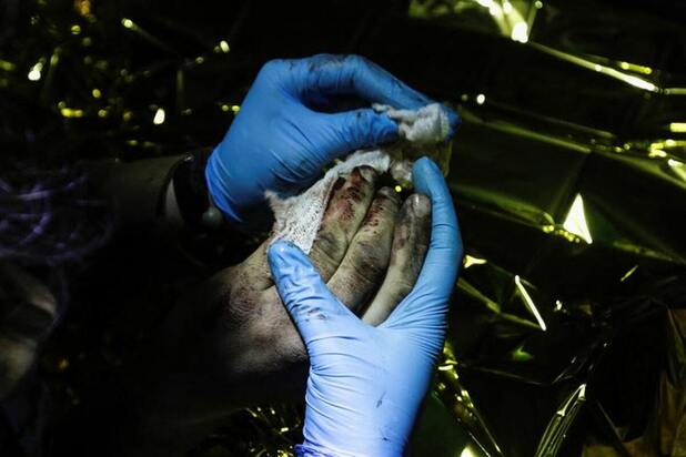 پزشکان ارتش اوکراین در خط مقدم