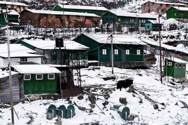 حیات وحش به روایت تصویر