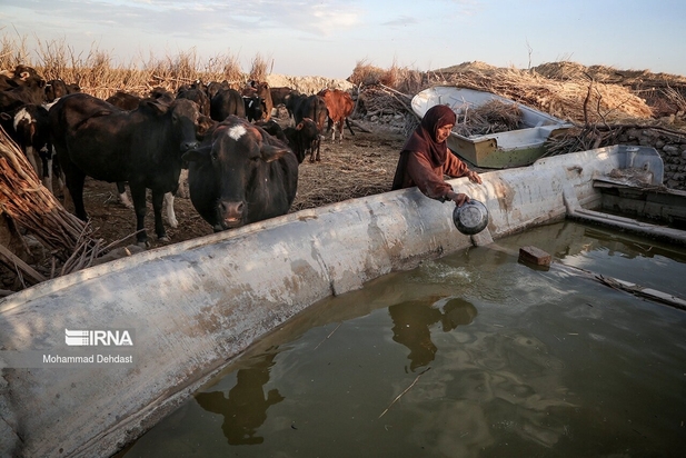 تداوم تشنگی و گرمای شدید در سیستان