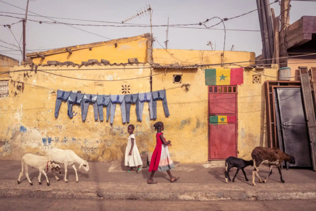 مسابقه عکاسی غذای سال ۲۰۲۳