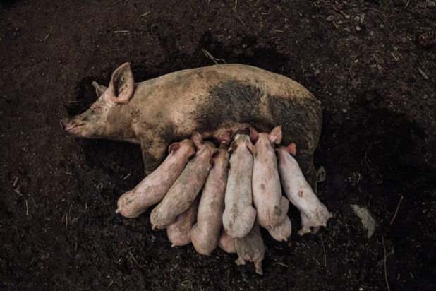 مسابقه عکاسی غذای سال ۲۰۲۳