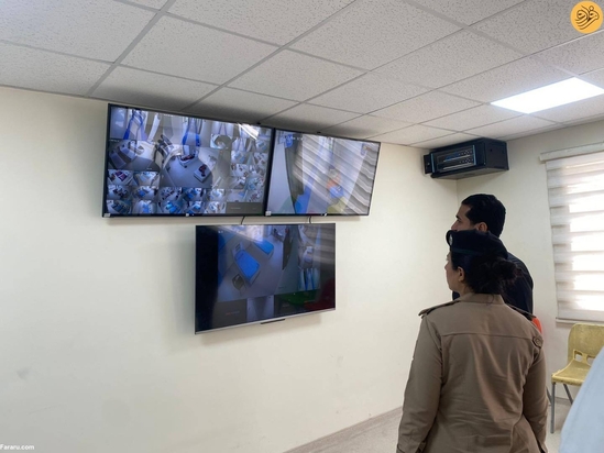 فیلم اعدام وحشیانه یک گربه