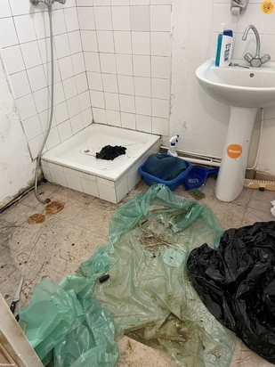 نگهداری از ۴۰ گوسفند در آپارتمان برای عید قربان!