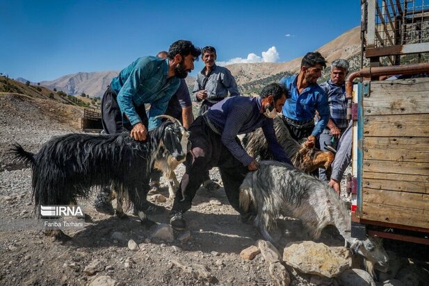 ییلاق عشایر بختیاری