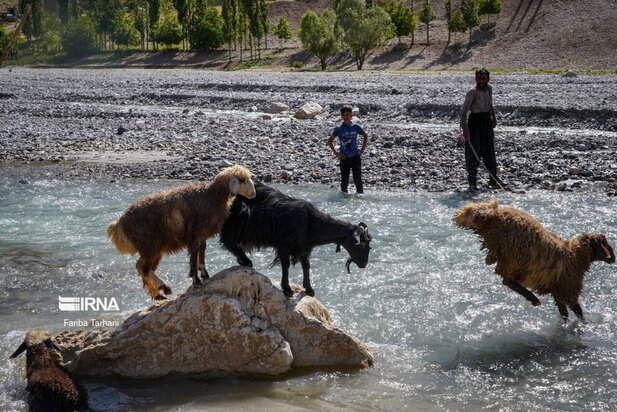ییلاق عشایر بختیاری