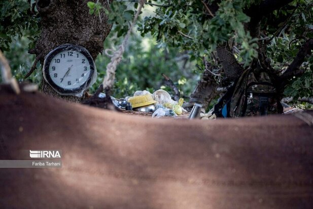 ییلاق عشایر بختیاری