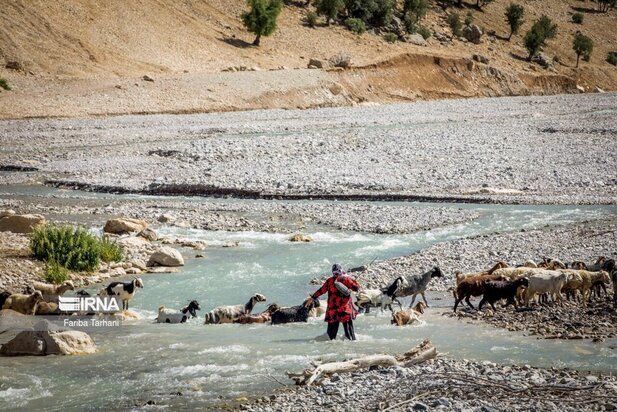 ییلاق عشایر بختیاری