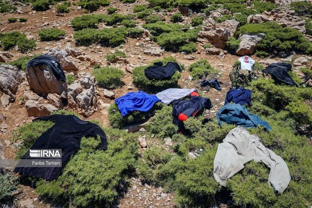 ییلاق عشایر بختیاری