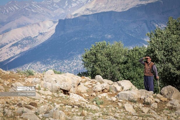 ییلاق عشایر بختیاری