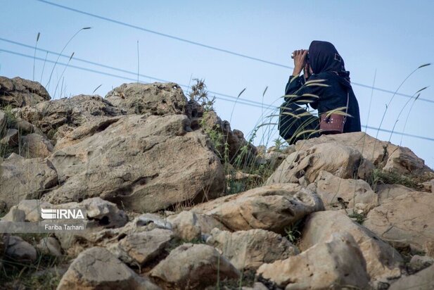 ییلاق عشایر بختیاری