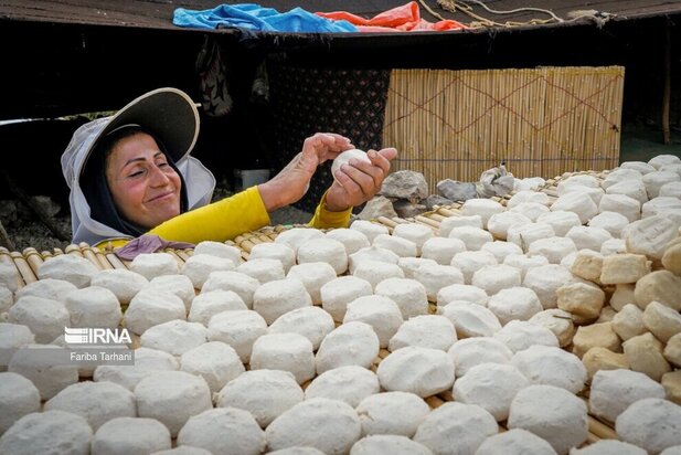 ییلاق عشایر بختیاری