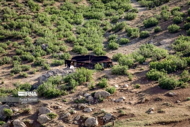 ییلاق عشایر بختیاری